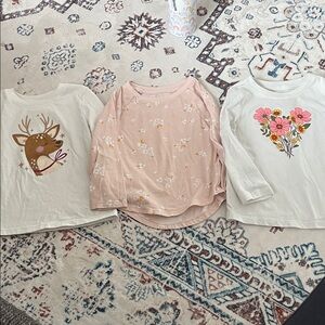 Bundle of 3 Long Sleeve Toddler Shirts